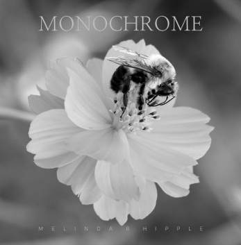 Monochrome Cover
